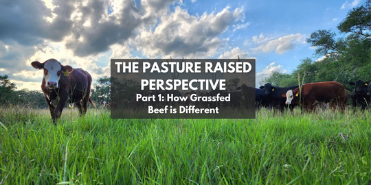 The Pasture Raised Perspective – Part 1: How Grassfed Beef is Different