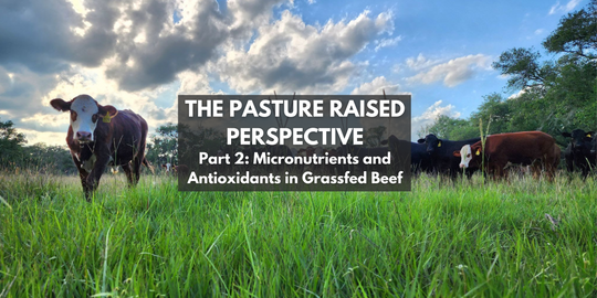 The Pasture Raised Perspective – Part 2: Micronutrients and Antioxidants in Grassfed Beef
