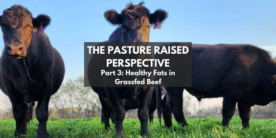 The Pasture Raised Perspective – Part 3: Healthy Fats in Grassfed Beef
