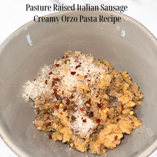 Pasture Raised Italian Sausage Creamy Orzo Pasta Recipe